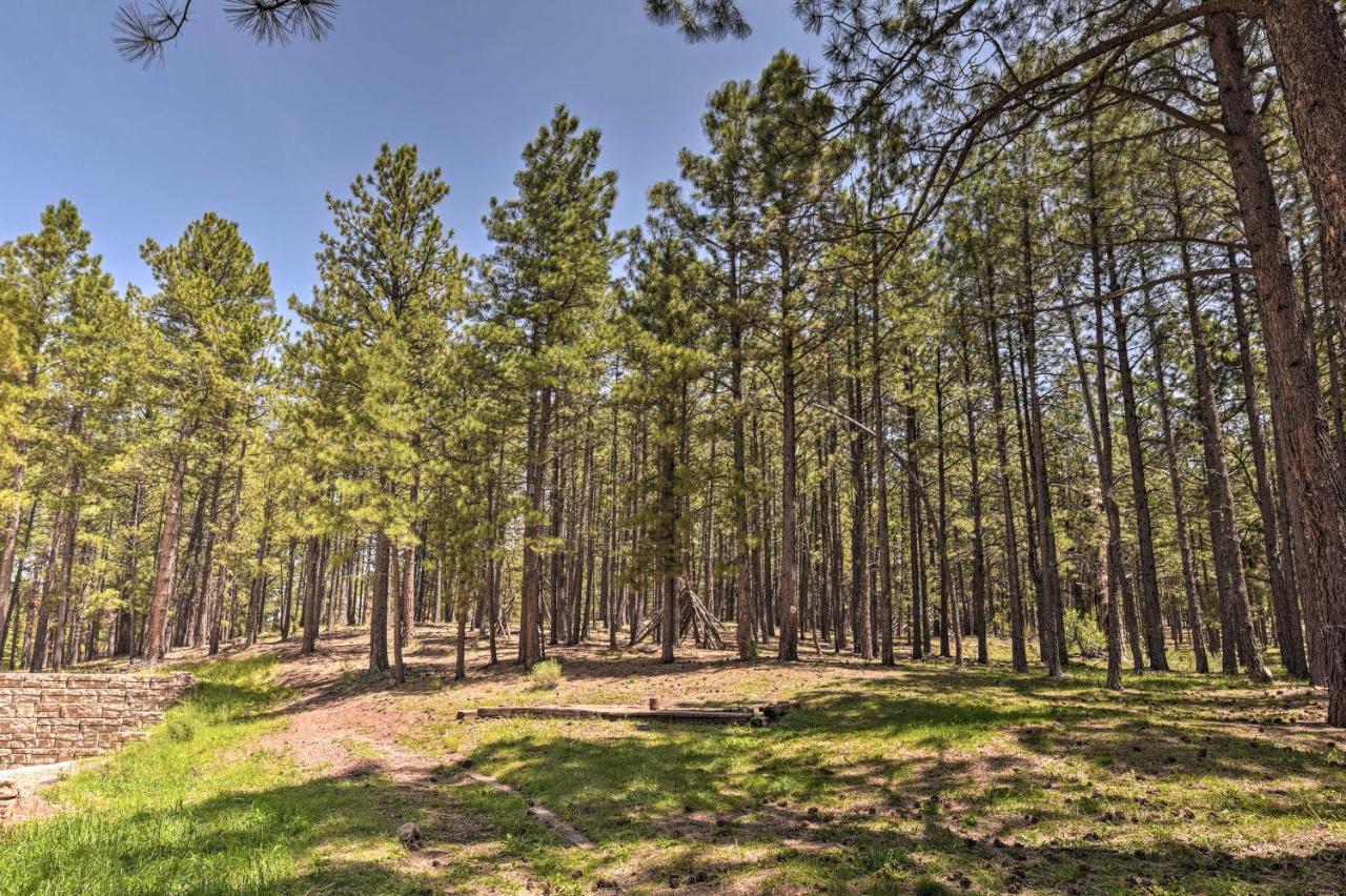 Angel Fire All-Season Escape Walk To Ski And Trails Extérieur photo